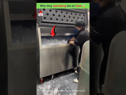 Why they all spreading ice cubes on floor? 😱 #trending