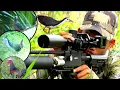 Download Lagu DI SAMBUT AYAM HUTAN SAAT BERBURU PUNAI TANAH DAN RUAK-RUAK