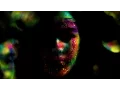 Obits - City Is Dead