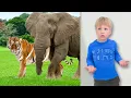 Download Lagu Amelia and Arthur encounter Animals at School.