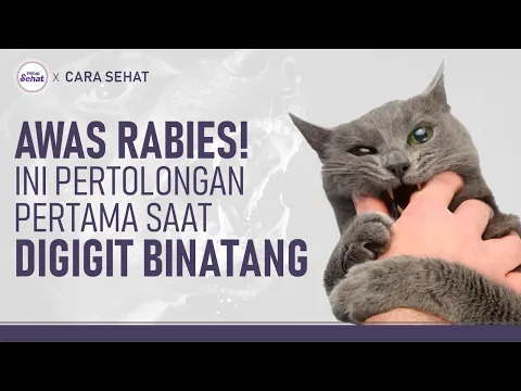 Awas Marak Kasus Rabies! Segera Lakukan Ini Jika Digigit Hewan