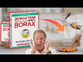 Should you REALLY use Borax For Pest Control