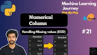 How to Fill Missing Values Using SimpleImputer EOD Custom Value Part 4 Data Preprocessing