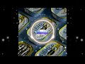 FISHER - Palm Beach Banga