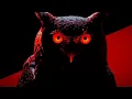 NOCYTRA - You Here Tonight