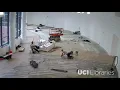 UCI Libraries Science Library Time-Lapse