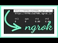 NGROK Access Your localhost from Anywhere on the Internet