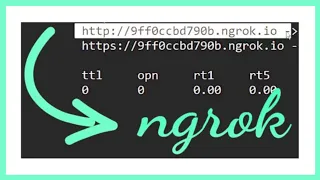 NGROK Access Your localhost from Anywhere on the Internet