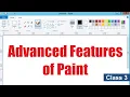 Advanced Features of Paint CBSE Computer Class 3