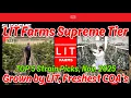 LIT Farms 5 Best Strain Picks Nov 25 - Grown by LIT Freshest COA Dates Supreme Tier