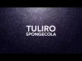 Sponge Cola - Tuliro (Official Lyric Video)
