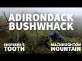 ADIRONDACK BUSHWHACKING Summiting Iroquois Peak via the Shepherd s Tooth and MacNaughton Mountain