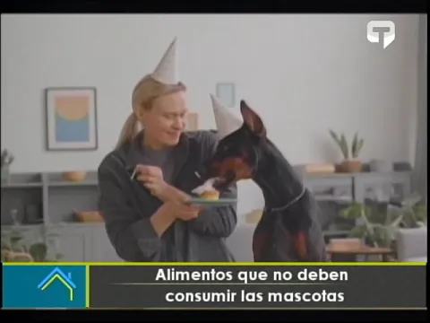Alimentos que no deben consumir las mascotas