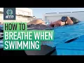 How To Breathe When Swimming Freestyle Swimming For Beginners