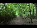 Gently Tender - 10000 Steps From The Door