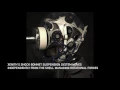 XENITH Impact Test