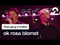 Lagu Marcus \u0026 Martinus tolker Mustis «ok rosa blomst» | Hver gang vi møtes | TV 2
