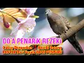 Download Lagu DO'A PENARiK REZEKI LANCAR DATANG DARi SEGALA ARAH - Di iringi Suara Burung Perkutut MERDU !!