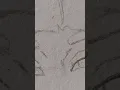 Download Lagu can you guess? #art #ytshorts #pencilsketch