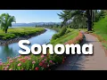 10 Best Things to Do in Sonoma
