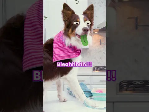 🐶 Barkley’s Secret Ingredient… Tasty Sock! 🤢 #funnyshorts #kidscomedy #musicclubkids