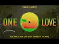 Kacey Musgraves - Three Little Birds (From Bob Marley: One Love)