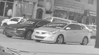 من عاشر الذيب يتحمل مخلابيه مسرع دندنها