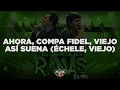 Grupo Marca Registrada x Víctor Valverde - El Mayor de los Ranas [En Vivo] (Letra)