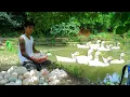 Download Lagu Wanderer Leaves the Dark Past – Building a New Life in a Remote Place