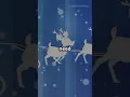 Can you crack the code of holiday cheer