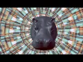 Download Lagu VJ loops africa style