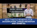 Milk Thistle Benefits for Detoxification Cancer Prevention and Diabetes