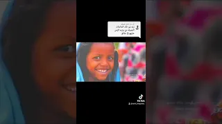 سامي المجنوني تويا الزول الخدره شلوفتا 