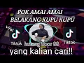 DJ POK AMAI AMAI BELAKANG KUPU KUPU TIKTOK REMIX FULL BASS VIRAL 20022