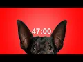 47 Minute Timer for School Homework Dog Bark Alarm Sound Improve Focus Productivity
