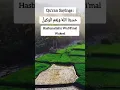 Download Lagu Hasbun Allah Hu Wa ni'a mal wakeel Allah is sufficient for us and he is the best disposer of affairs