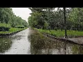 Download Lagu It's Raining Heavily in a Peaceful - Quiet Park - Rain Sounds Sleep - ASMR Rain Noise 10 Hours
