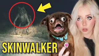 PUPPY REACTS TO SCARY SKINWALKER VIDEOS....(*CREEPY!*)
