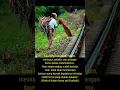Download Lagu Jasa Seorang Ibu #shorts