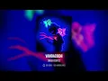 VAMOaCOCHI - Omar Courtz (8D AUDIO) 🎧 USA AURICULARES