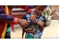 Download Lagu PLA Bali Kids