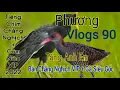 Download Lagu Tiếng Chim Chằng Nghịch + Cúm Núm VIP 2022_Phương vlogs 90