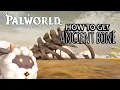 Easy Ancient Bone Farming Location Palworld 1 0