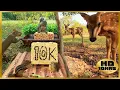 Download Lagu Entertain your Pets w/ Deer \u0026 Squirrels [No Mid-Roll Ads] Autumn/Fall Cat \u0026 Dog TV | 🍂🦌🐿️