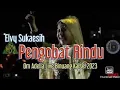 Download Lagu Pengobat Rindu - Elvy Sukaesih - Om Adella Live Binuang Kalsel 2023