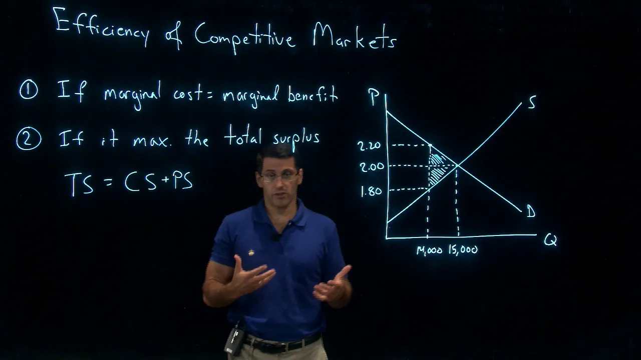 The Efficiency of Competitive Markets
