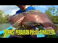 Download Lagu POTENSI PERAIRAN PULAU SUMATERA | MANCING MANIA STRIKE BACK (20/07/25)