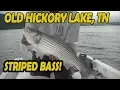 Catching Stripers at Old Hickory lake TN