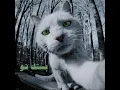 بستك ناو# شاهين_و سامر