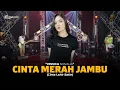 Download Lagu JESSICA NOVALIA - CINTA MERAH JAMBU | Feat. RASTAMANIEZ ( Official Live Version )